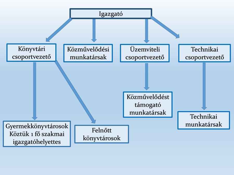 Szervezeti ábra